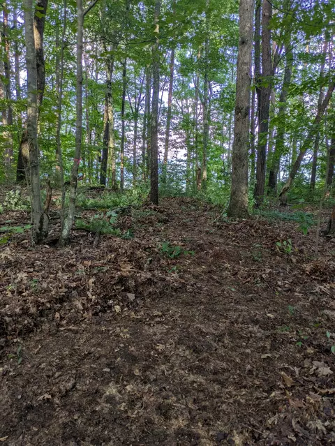 lot18 Windridge Dr, Dunlap, TN 37327 photo 14