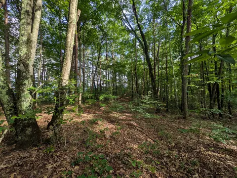 lot18 Windridge Dr, Dunlap, TN 37327 photo 4