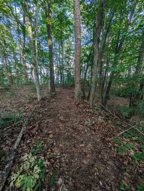 lot18 Windridge Dr, Dunlap, TN 37327 photo 13