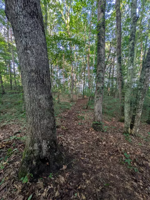 lot18 Windridge Dr, Dunlap, TN 37327 photo 12
