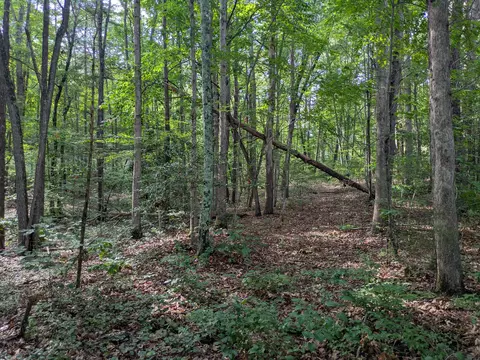 lot18 Windridge Dr, Dunlap, TN 37327 photo 9