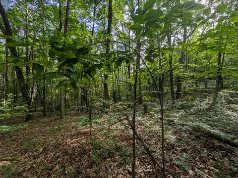 lot18 Windridge Dr, Dunlap, TN 37327 photo 5