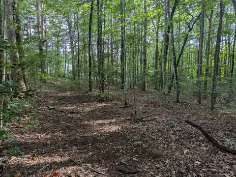 lot18 Windridge Dr, Dunlap, TN 37327 photo 8