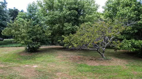 0 Pikes Dr #LOT 6, Trenton, GA 30752