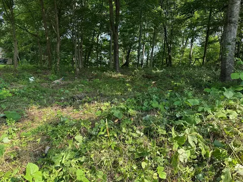 0 Black Oak Estates Rd, Dayton, TN 37321