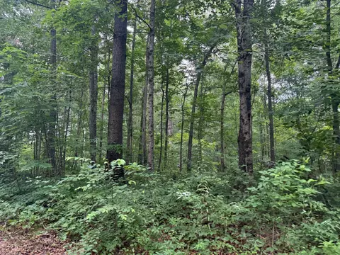 Lot 1 Tipple Road #1, Tracy City, TN 37387