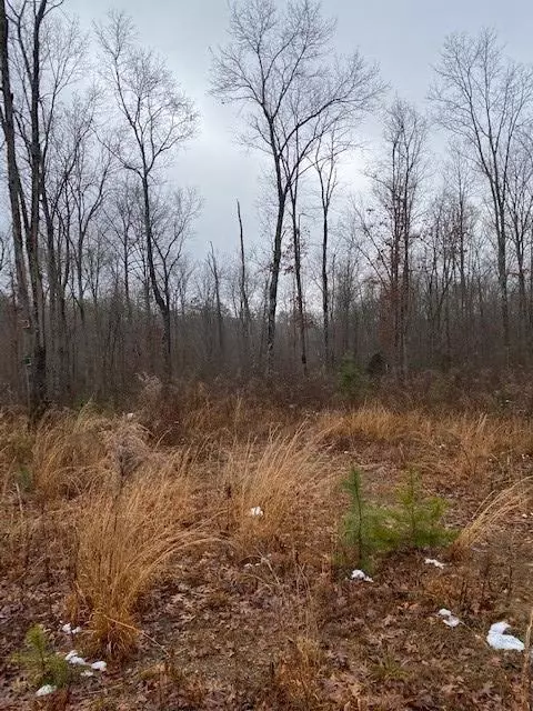 5 Colony Rd, Gruetli Laager, TN 37339