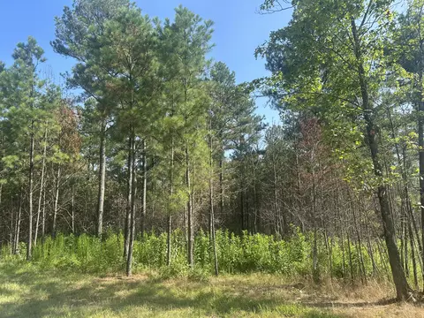 520 Buck Crossing Dr #1030, Guild, TN 37340