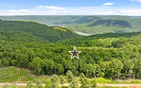 lot1205 Big View Rd, Guild, TN 37340 photo 11