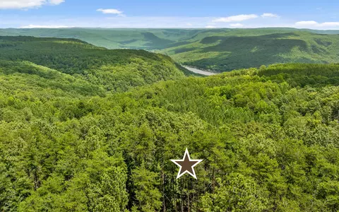 lot1205 Big View Rd, Guild, TN 37340 photo 5