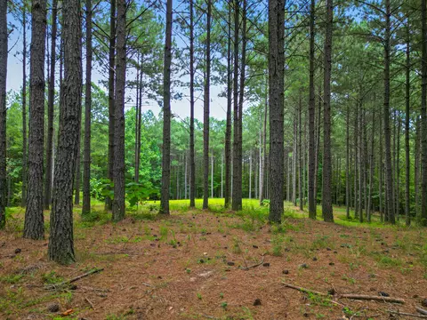0 Compass Dr # 228, Jasper, TN 37347