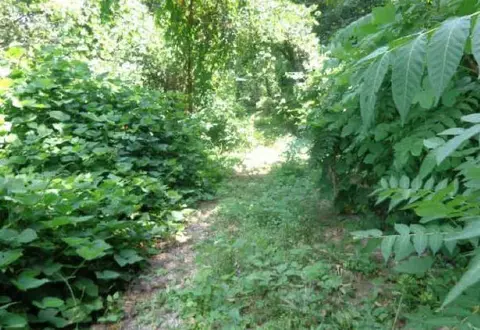 3705 Cross St, Chattanooga, TN 37411