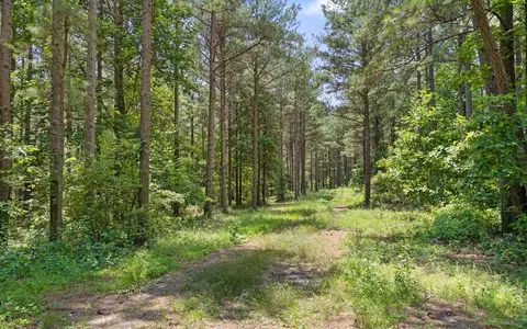 lot2045 Constellation Ct, Guild, TN 37340 photo 8