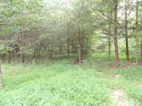 06 6 Mountain Creek Rd, Crossville, TN 38572