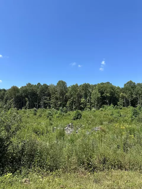 Tract 12 Dykes Hollow Road #12, Tracy City, TN 37387