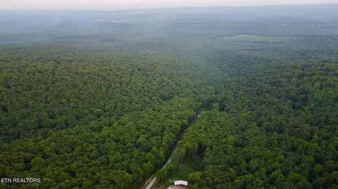 5 21 Acres Brown Holler Rd, Spring City, TN 37381