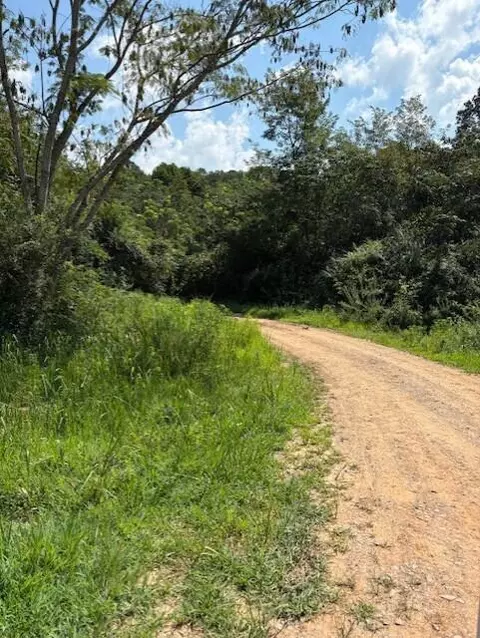 0 Jericho Lot 14 Rd, Dunlap, TN 37327