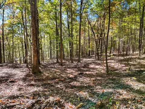 lot7 Mcdonald Rd, Mc Donald, TN 37353