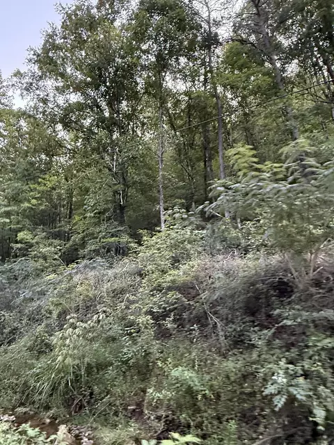 0 Fairview Rd, Madisonville, TN 37354