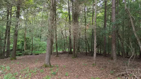 115 Sunshine Rd, Sequatchie, TN 37374 photo 10