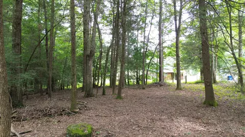 115 Sunshine Rd, Sequatchie, TN 37374 photo 9
