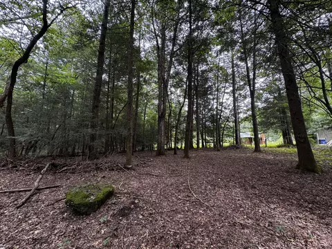 115 Sunshine Rd, Sequatchie, TN 37374 photo 6