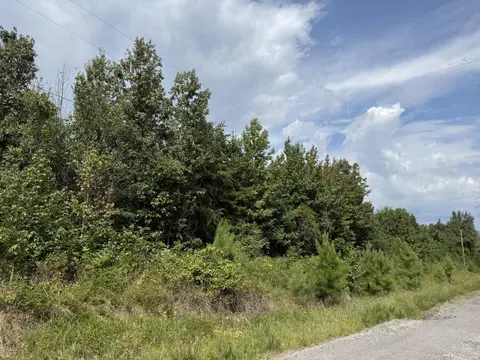 5 1 Ac County Road 159, Bryant, AL 35958 photo 6