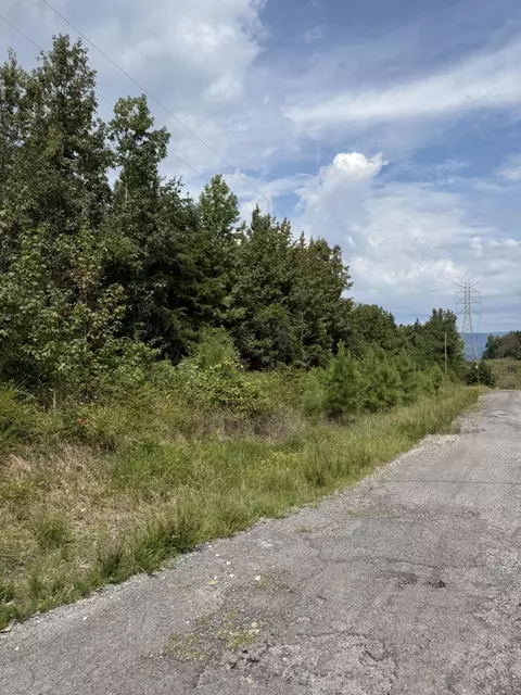 5 1 Ac County Road 159, Bryant, AL 35958 photo 4