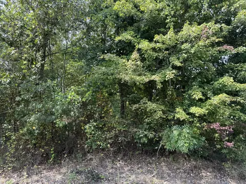 5 1 Ac County Road 159, Bryant, AL 35958 photo 5