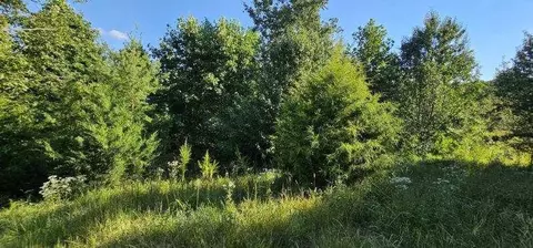 lot561 Bluff View Dr, Dunlap, TN 37327