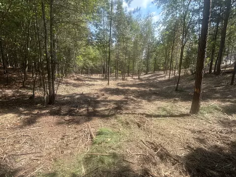 13 Stonechase Ln, Cohutta, GA 30710
