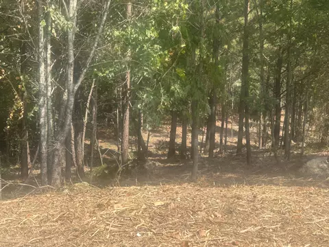 14 Stonechase Ln, Cohutta, GA 30710