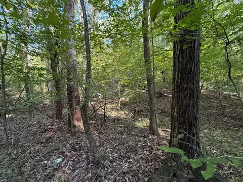 Lot 5 Mullins Cove Road #5, Whitwell, TN 37397