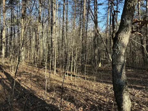 250 Timber Ridge Lot 3 Dr, Kimball, TN 37347