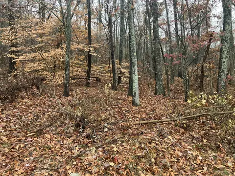280 Timber Ridge Lot 5 Dr, Kimball, TN 37347