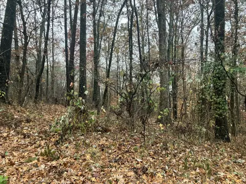 260 Timber Ridge Lot 4 Dr, Kimball, TN 37347