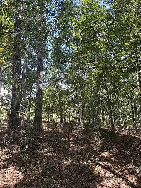 lot13 Hickory Hollow Sub Rd #13, Tracy City, TN 37387