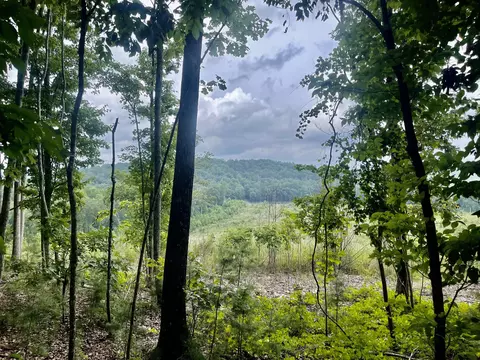 0000 White Oak Rd #LOT 4, Summerville, GA 30747