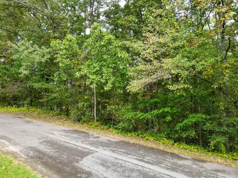 0 Jacobs Rd, Ringgold, GA 30736 photo 8