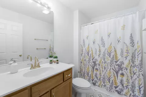 Bath - 137 Dylan Dr, Ringgold, GA 30736 photo 4 of 4