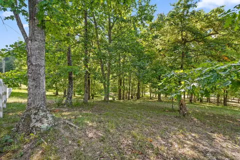 Exterior - 68 Bluff View Dr, Dunlap, TN 37327 photo 9 of 28