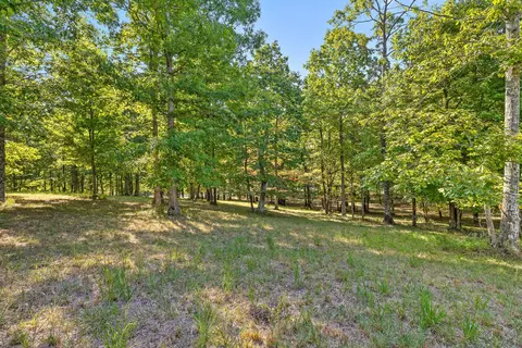 Exterior - 68 Bluff View Dr, Dunlap, TN 37327 photo 27 of 28