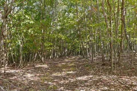 Other - 68 Bluff View Dr, Dunlap, TN 37327 photo 7 of 31