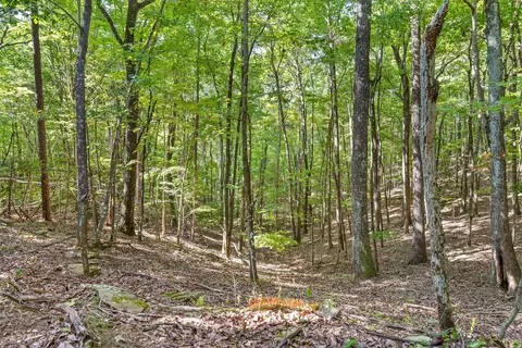 Exterior - 68 Bluff View Dr, Dunlap, TN 37327 photo 28 of 28