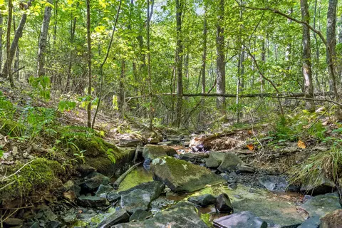 Other - 68 Bluff View Dr, Dunlap, TN 37327 photo 5 of 31