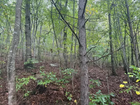 Tract 12 Saw Mill Road #12, Palmer, TN 37365