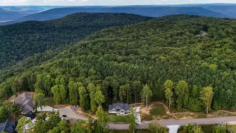 490 Moonlight Ln, Jasper, TN 37347 photo 5