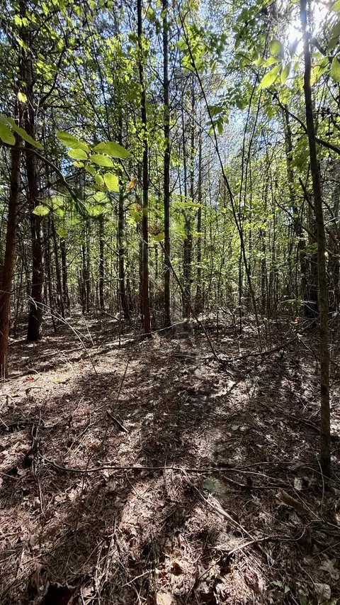Oo Owl Hollow Road #9, Palmer, TN 37365
