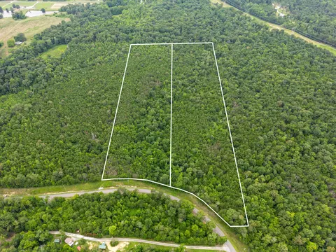 lot1 2 County Road 131, Bryant, AL 35958