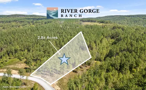 lot1098 Birds Eye Way, Guild, TN 37340